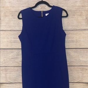 Calvin Klein Dress Gold Zipper